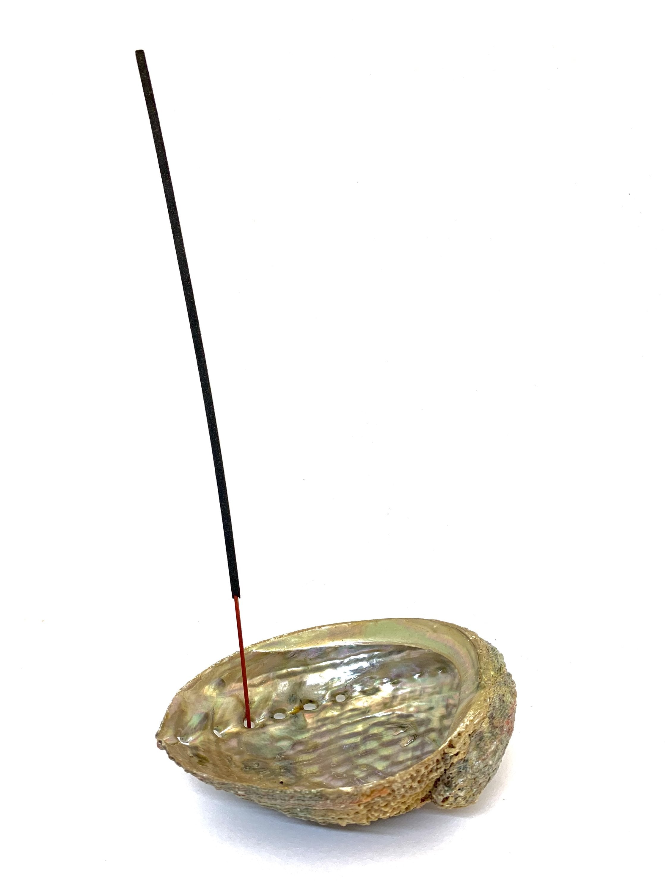 Abalone Shell Incense Holder