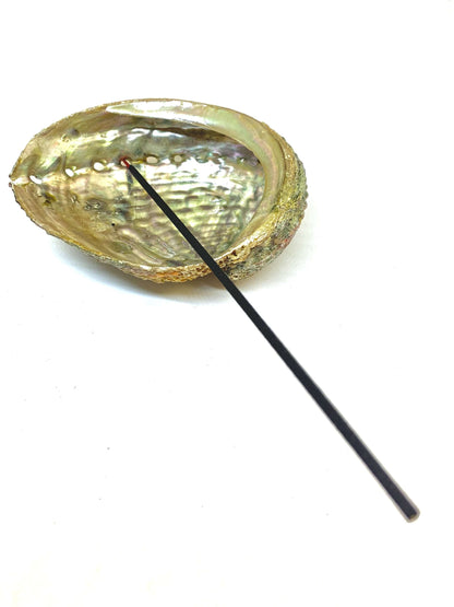 Abalone Shell Incense Holder