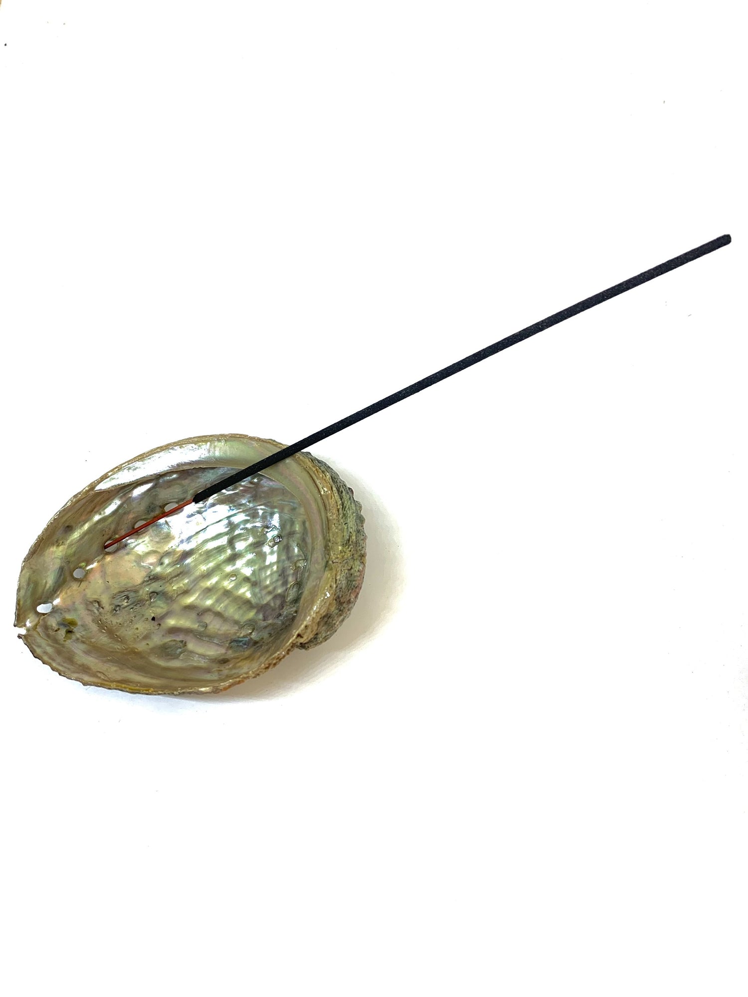 Abalone Shell Incense Holder